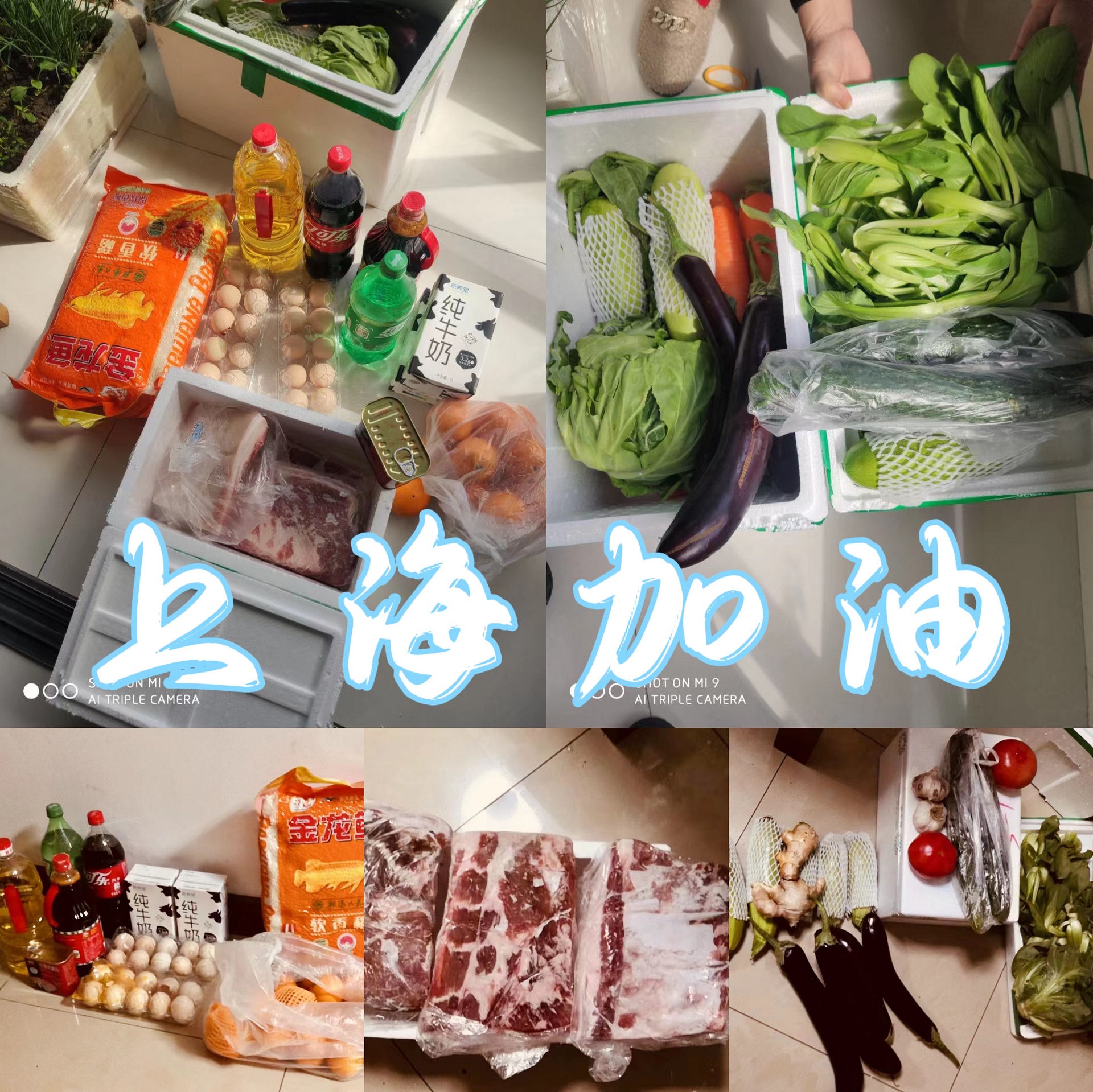 厦门金融租赁有限公司为上海员工特供抗疫爱心食品包